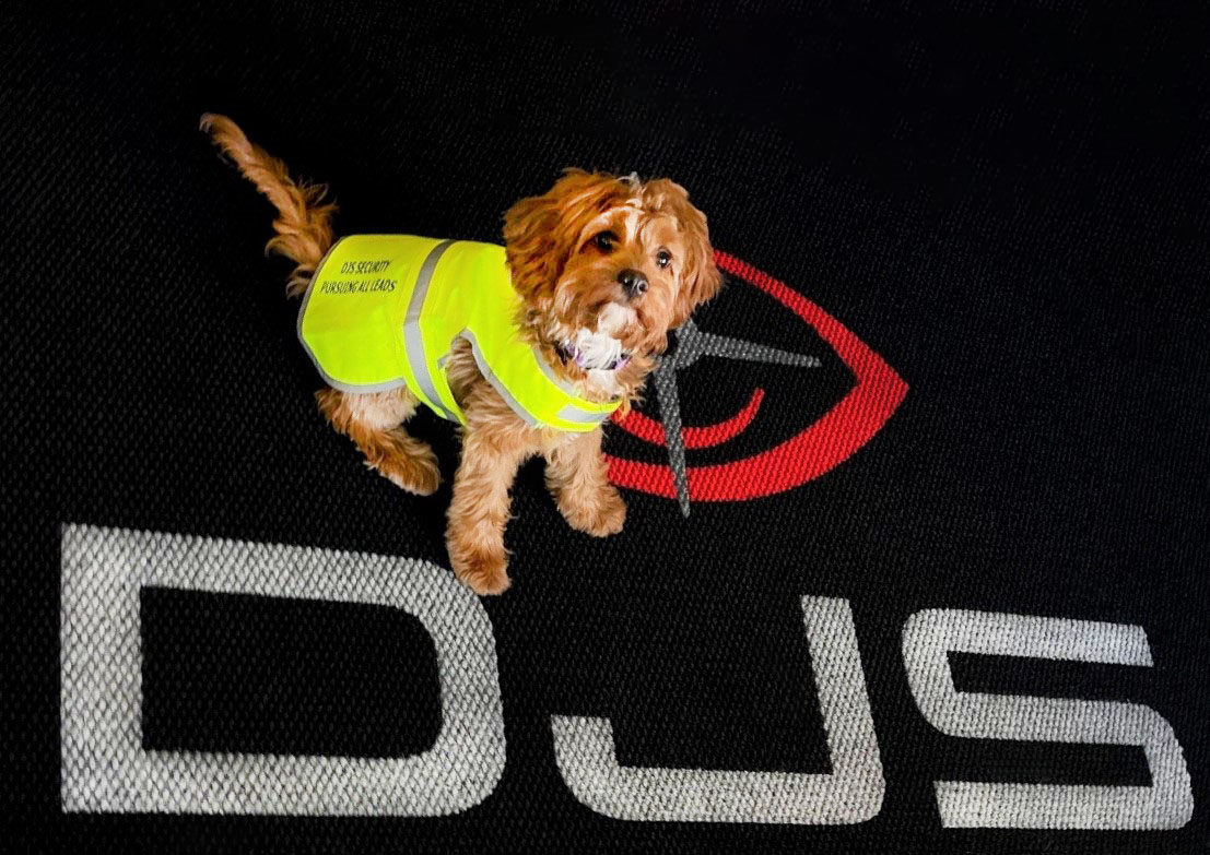 DJS Safety Pup: Pursuing All Leads