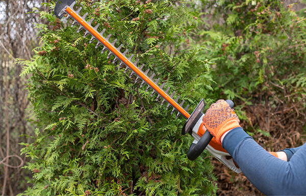 Hedge Trimmer Malfunction