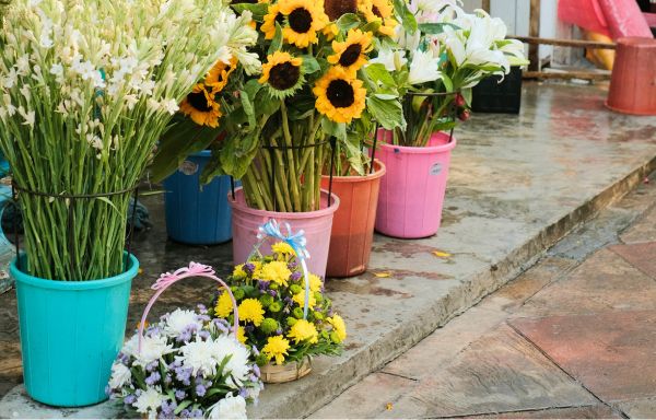 Flower Shop Fall Claim Falls Flat