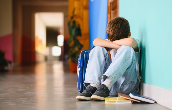 School Bullying Litigation