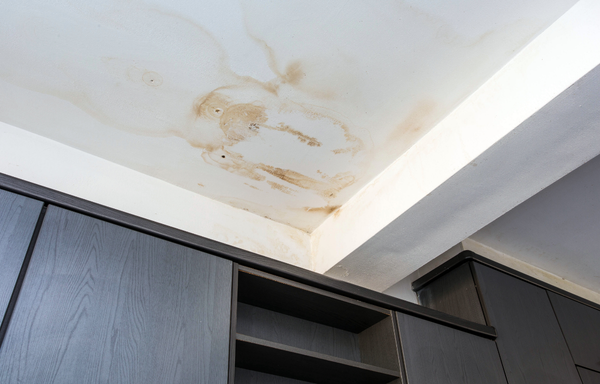 Roof Repair Claim & Cover-Up