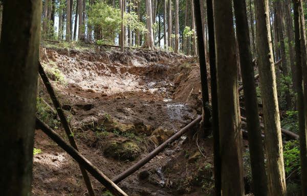 Was the Landslide Foreseeable?